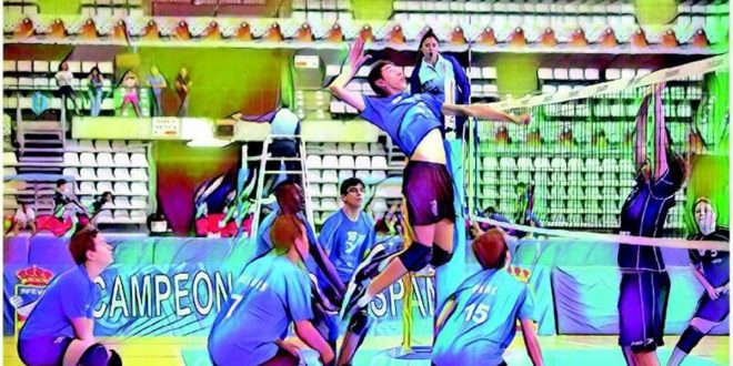 volei ok
