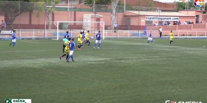 videojor1263