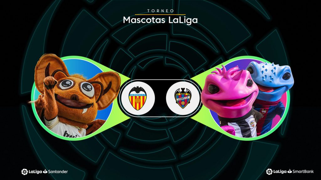 mascotas valencia levante