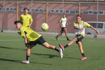 Entrenamiento de los amarillos