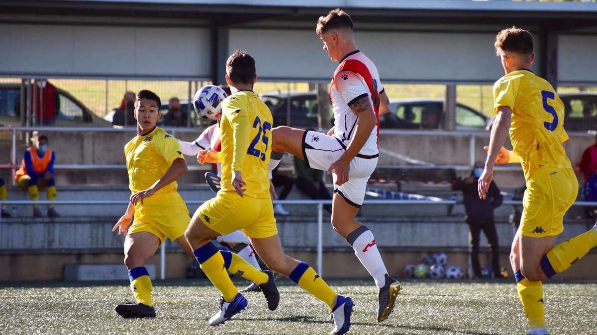 filiales rayo y alcorcon