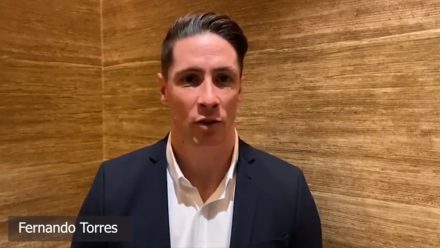 fernando torres