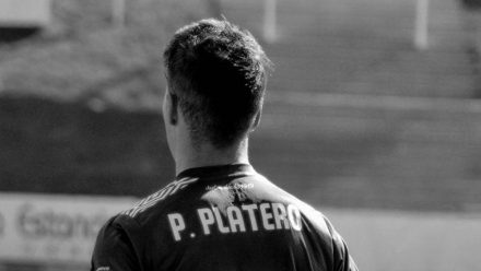 Platero gris