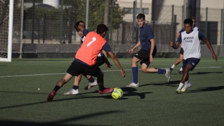 pruebas-tngs