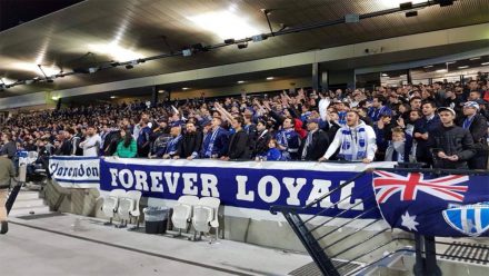 aficionados del South Melbourne