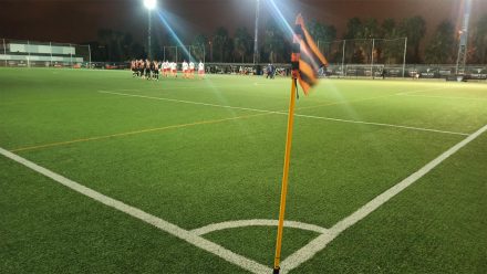 campo patacona