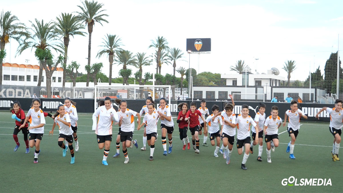 academia vcf