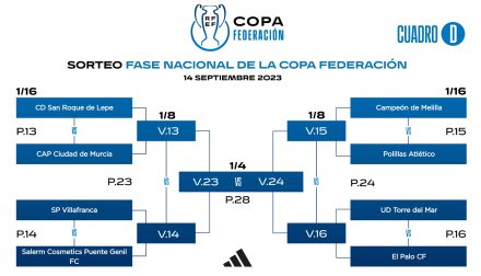 grupo d Copa Federación