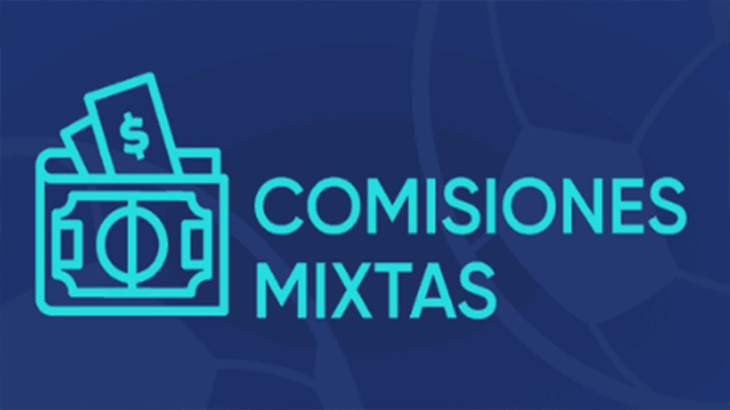 Comisiones Mixtas.