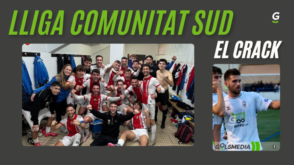 Lliga Comunitat Sud